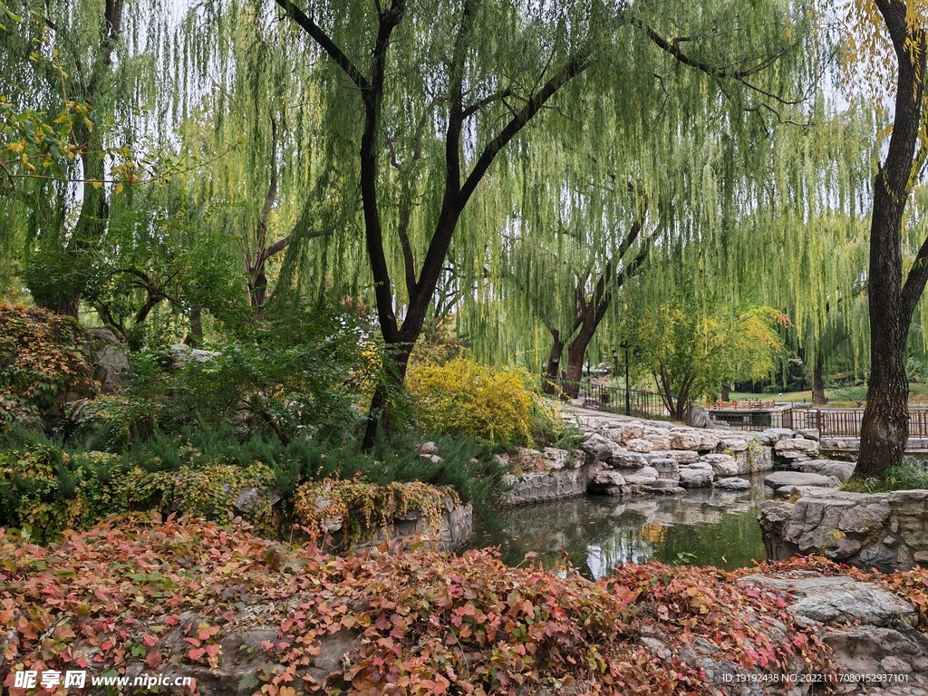 陶然亭风景 