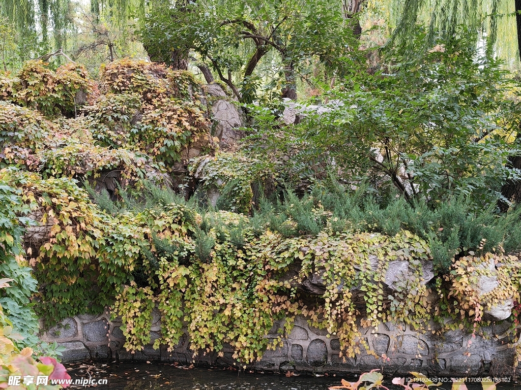 陶然亭风景  