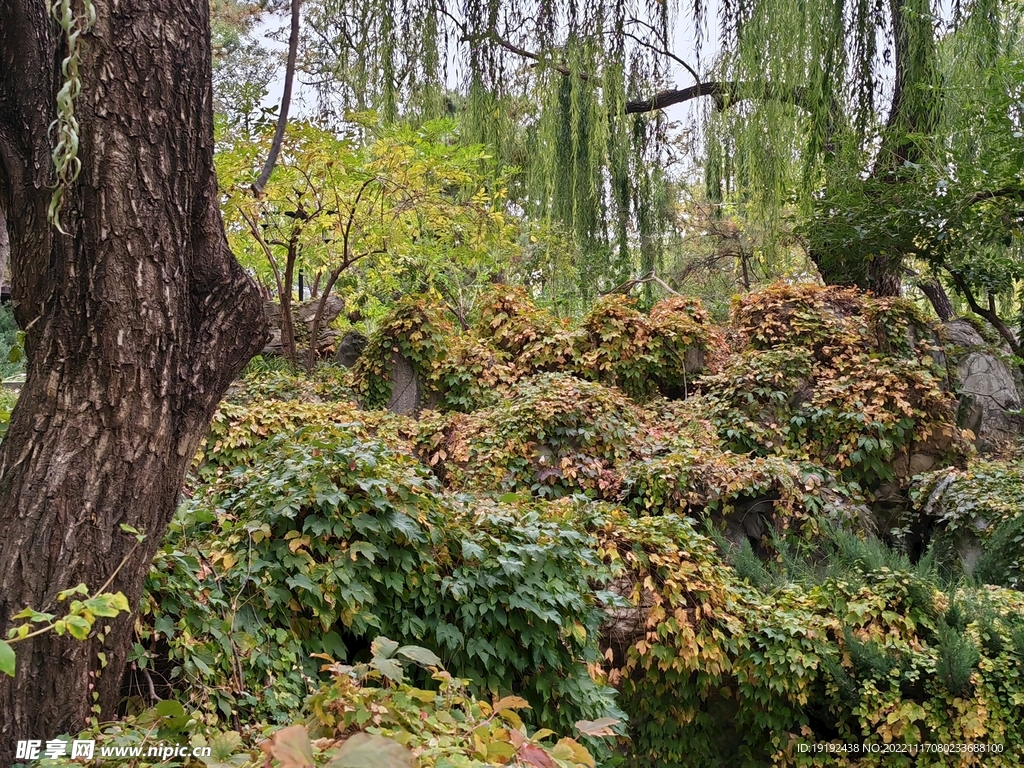 陶然亭风景 