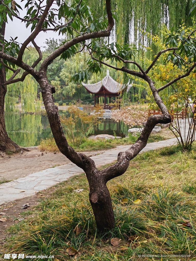 陶然亭风景  