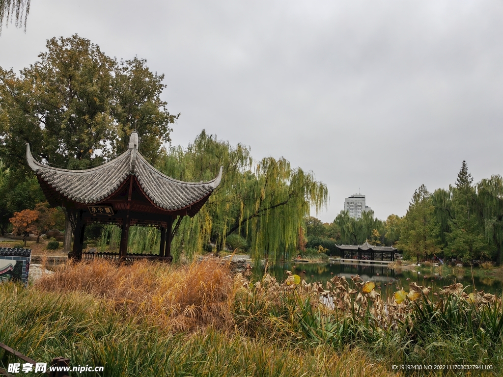 陶然亭风景 