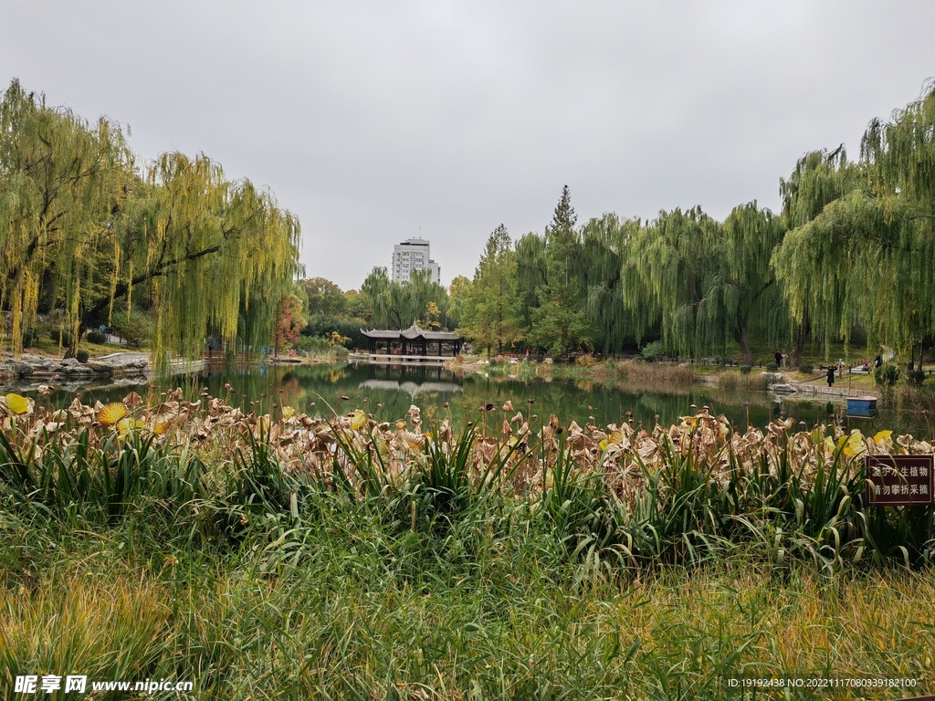 陶然亭风景  