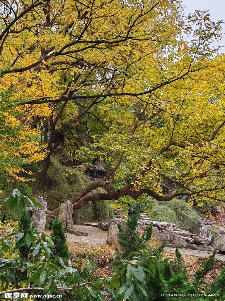 陶然亭风景 