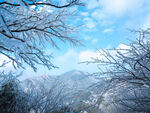 衡山雪景摄影