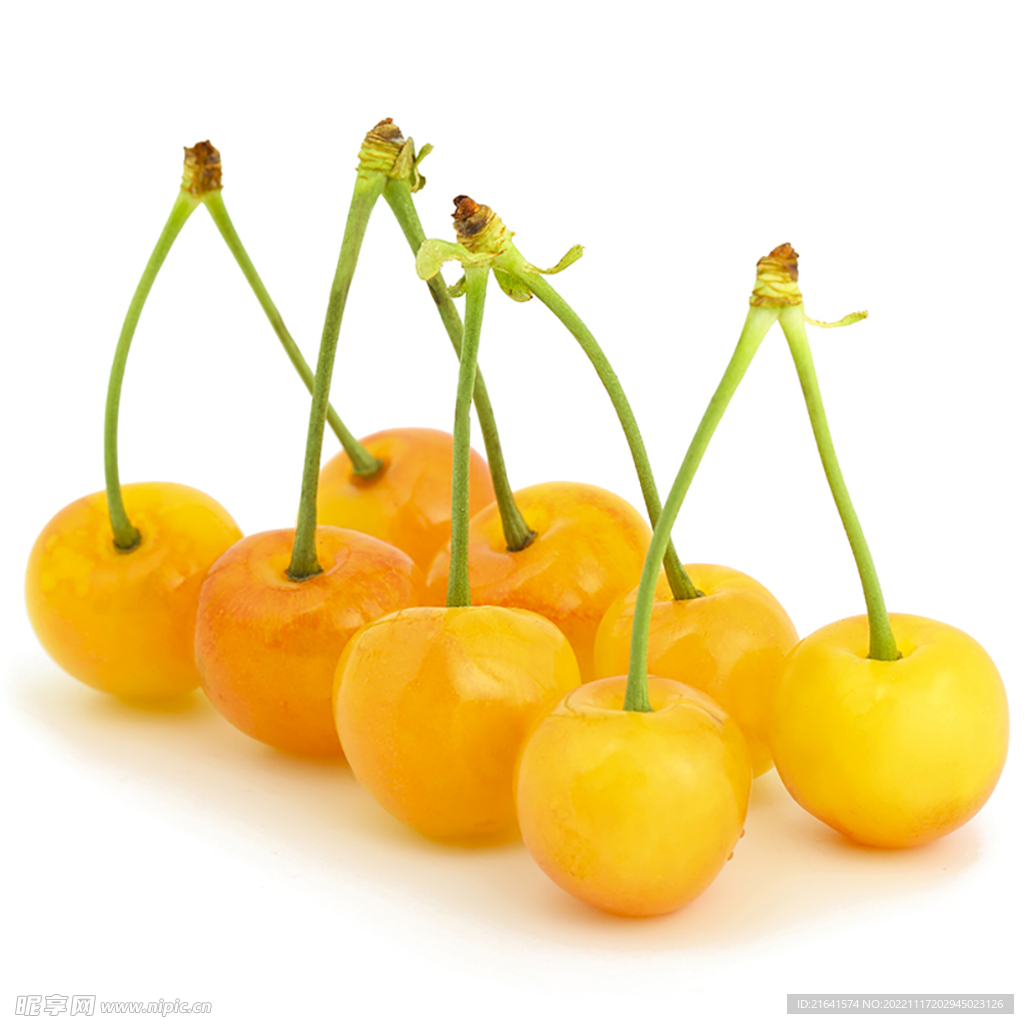 黄樱桃