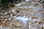 山泉水