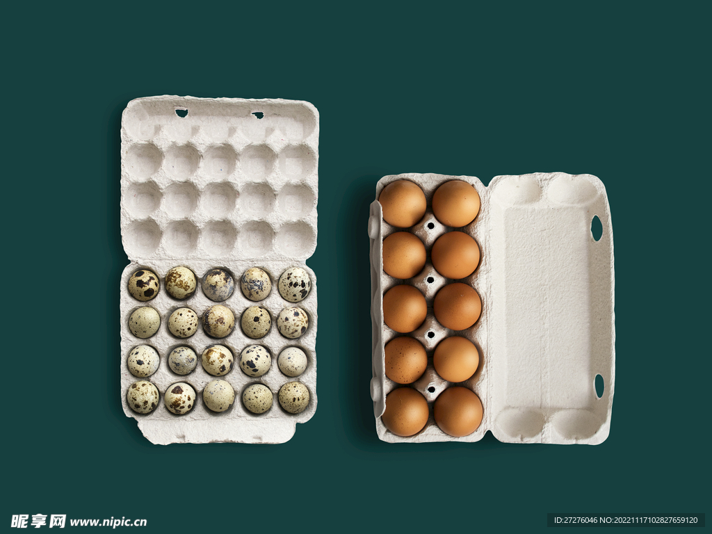 鸡蛋鸡蛋盒子包装盒样机
