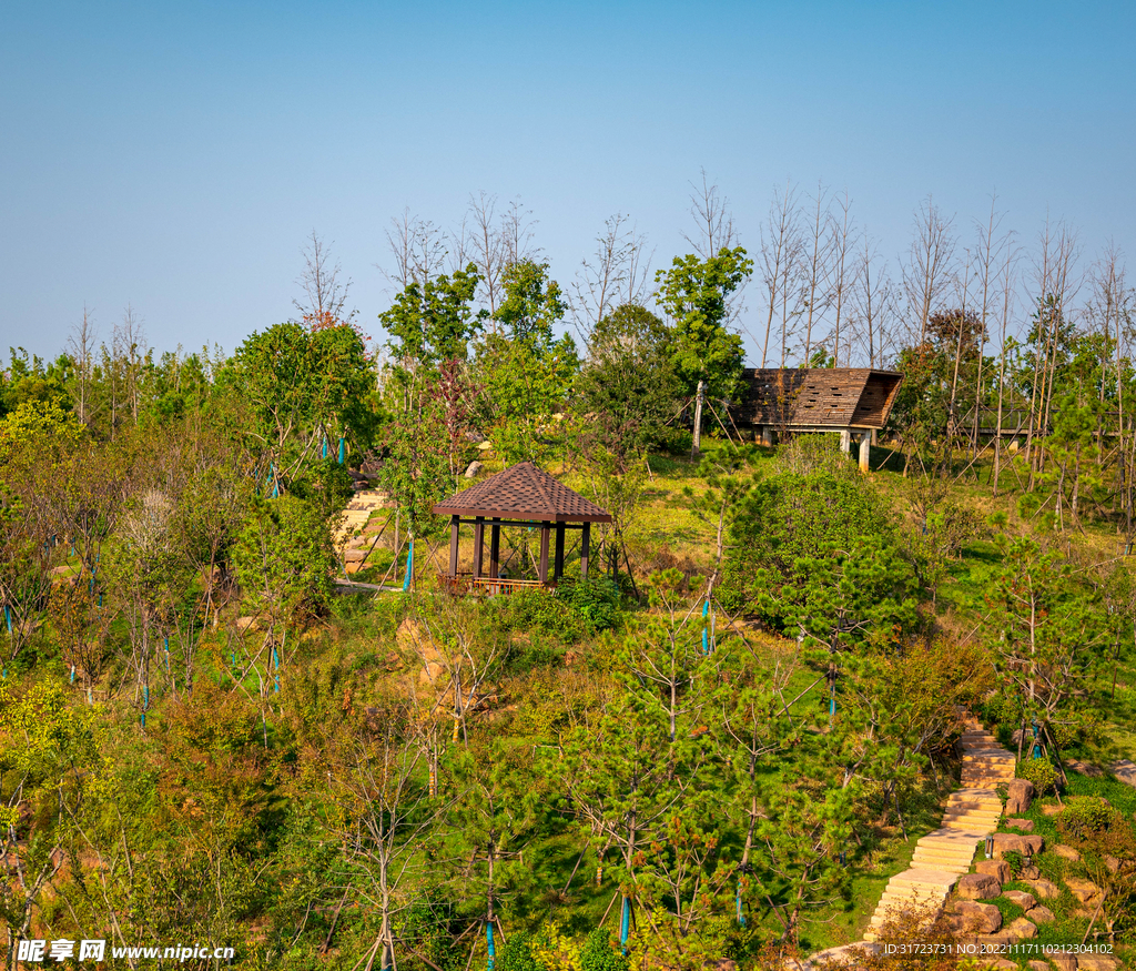 公园风景 