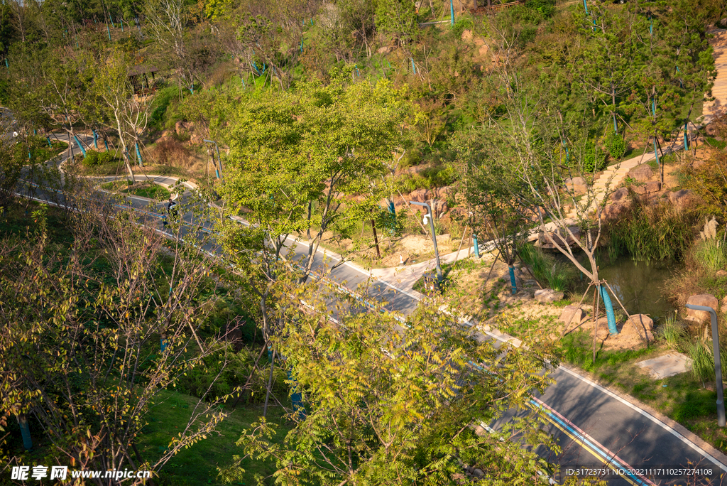 公园风景 园林风景 