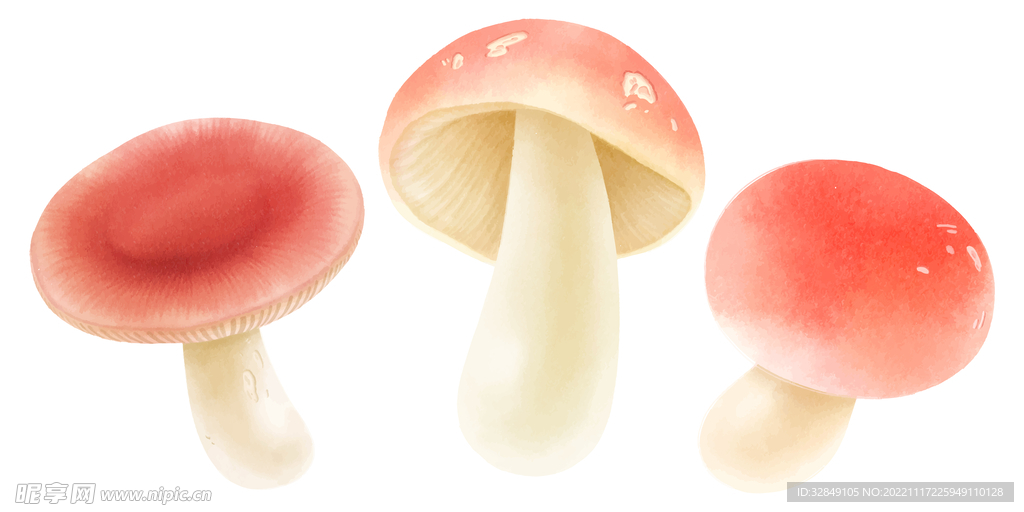 矢量卡通粉色蘑菇