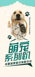 萌宠系列卡通可爱宠物猫狗海报