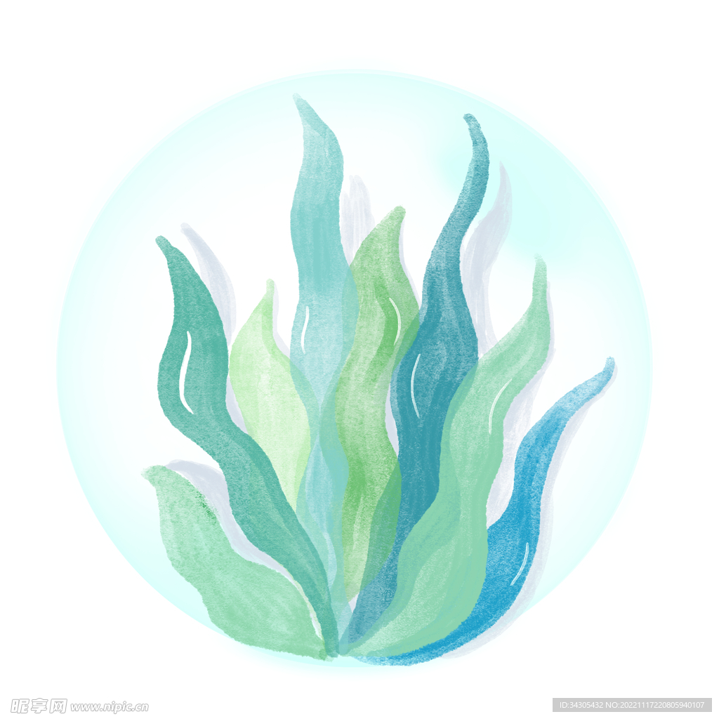 海草绿色植物插画手绘卡通海洋