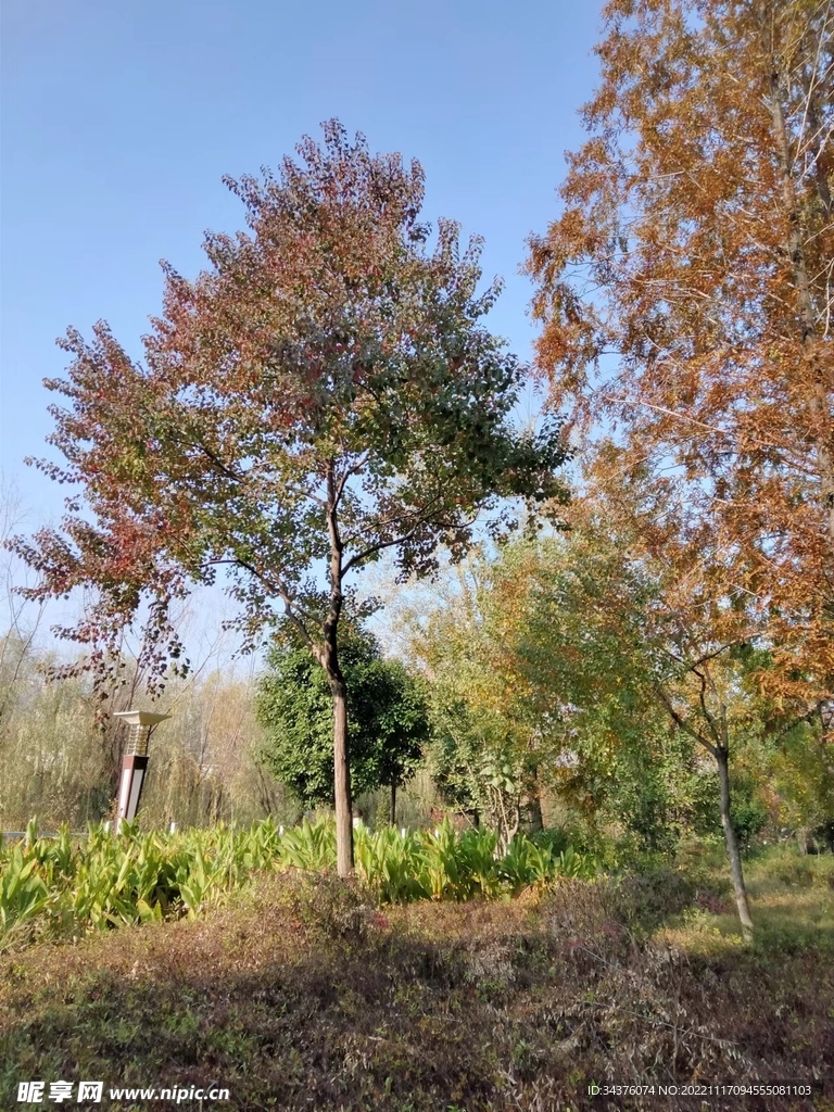 自然景观