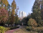 自然景观