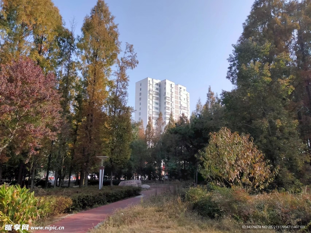 自然景观