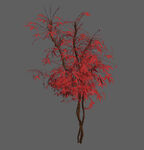 红色植物3d模型