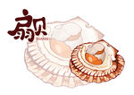 扇贝