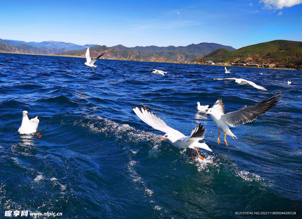 泸沽湖风景