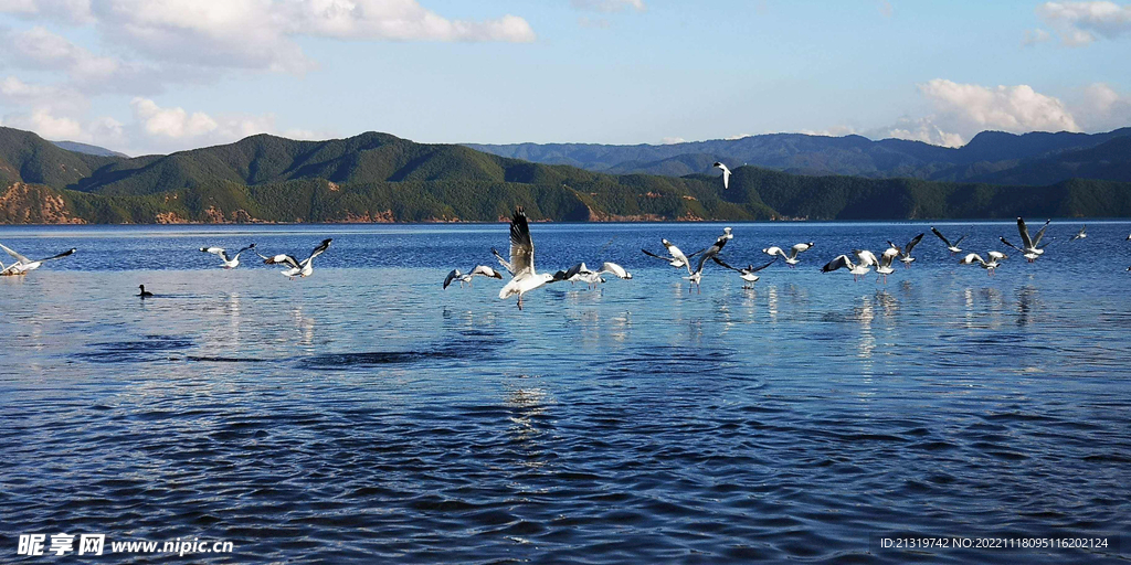 泸沽湖风光