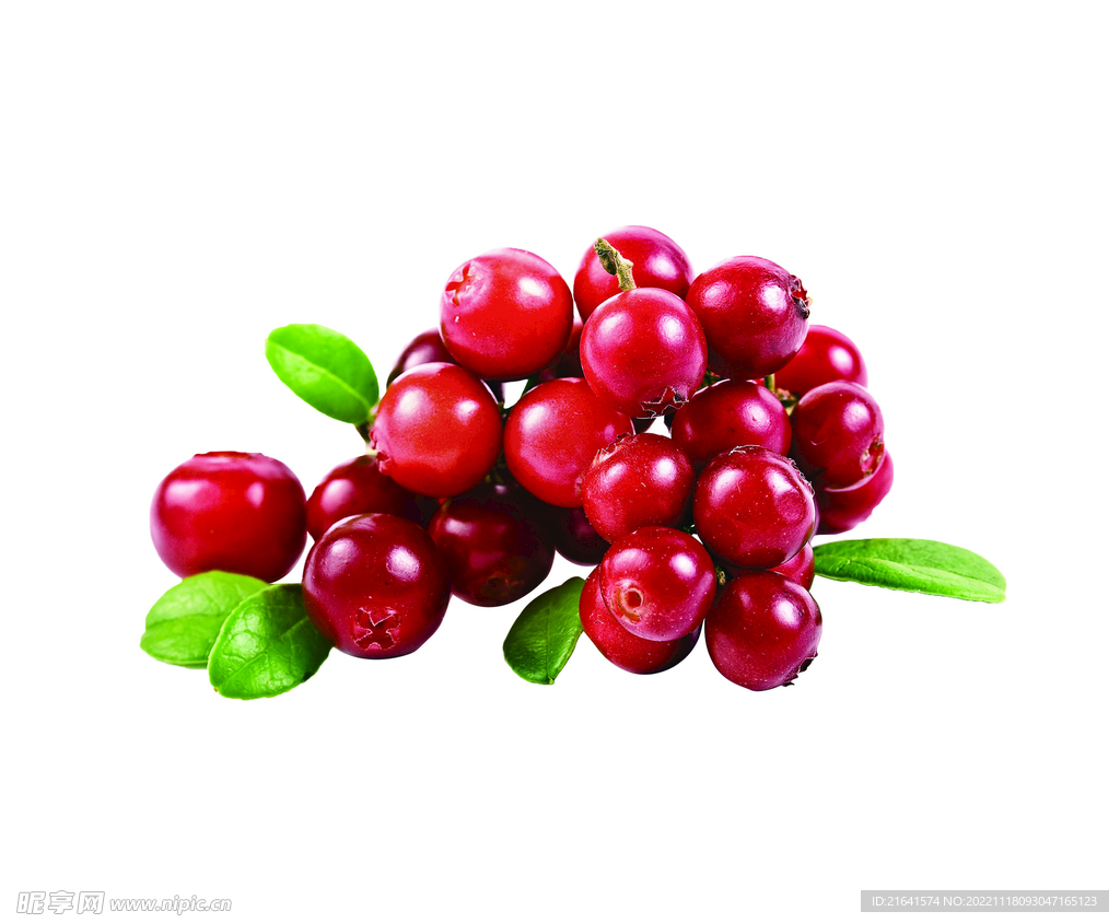 一粒粒新鲜饱满的蔓越莓和叶子_素材公社_tooopen.com