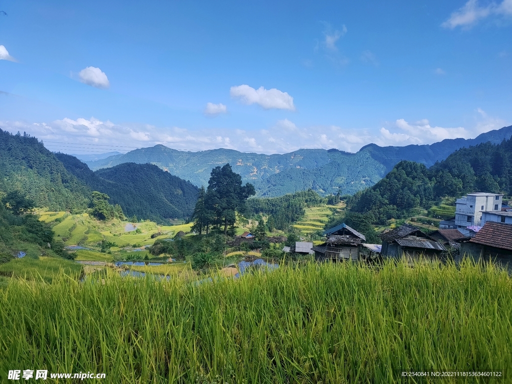 元宝山梯田