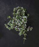 小花 