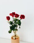 玫瑰花束
