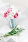 牡丹鲜花