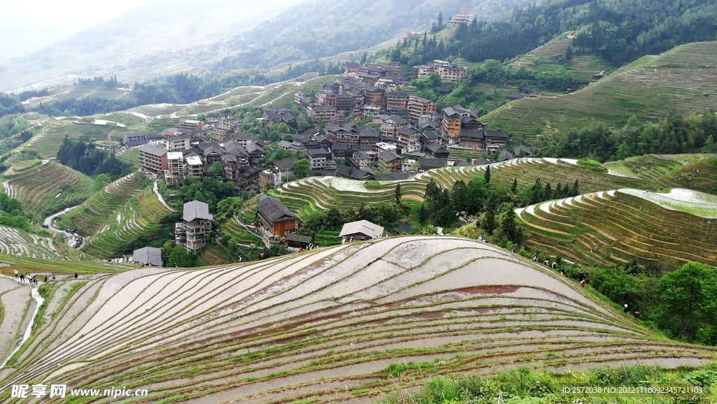 龙胜龙脊梯田风光