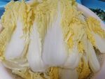 大白菜