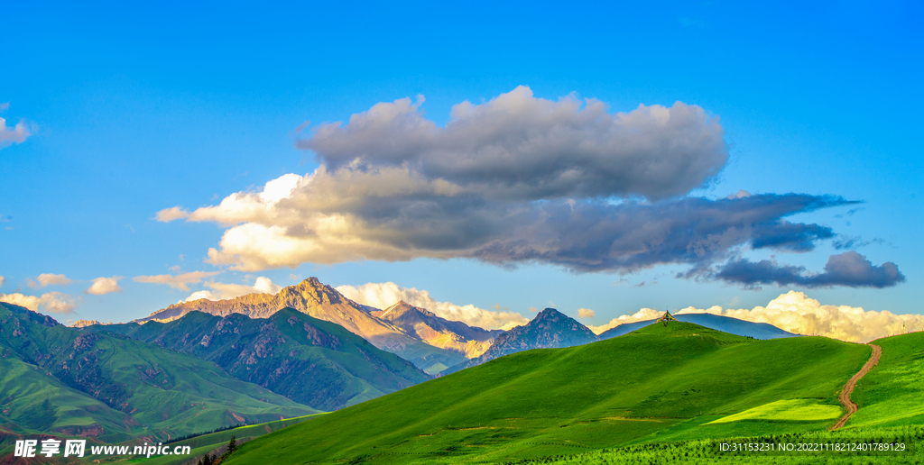 美丽草原的夏季风景