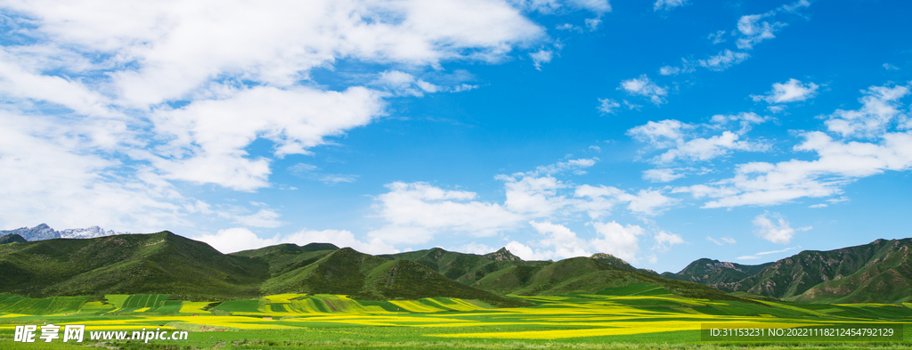 祁连山脉油菜花田