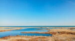 青海湖岸边.