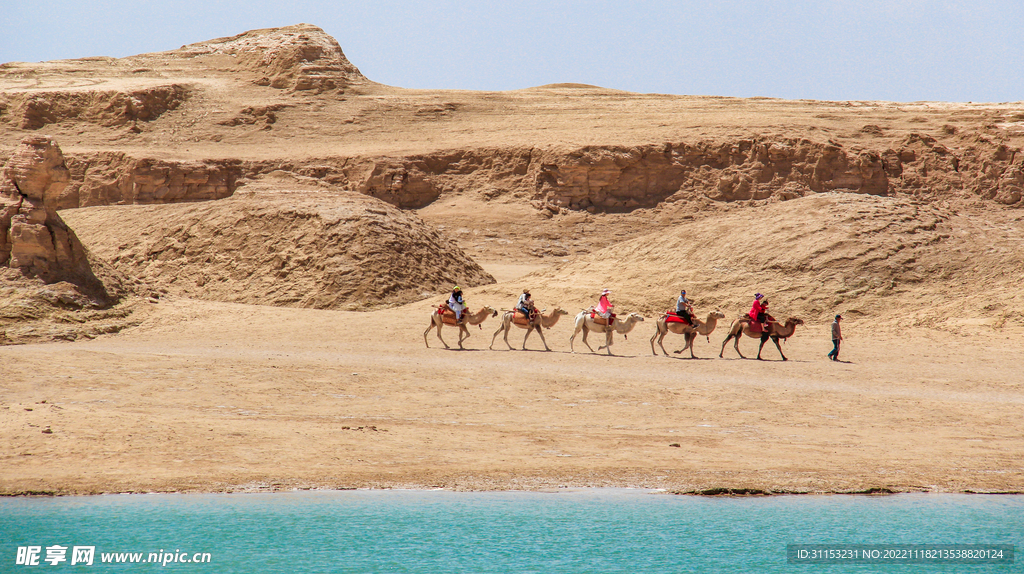 水上雅丹沙漠骆驼队