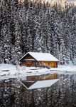 林中雪景