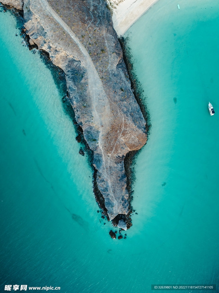 海