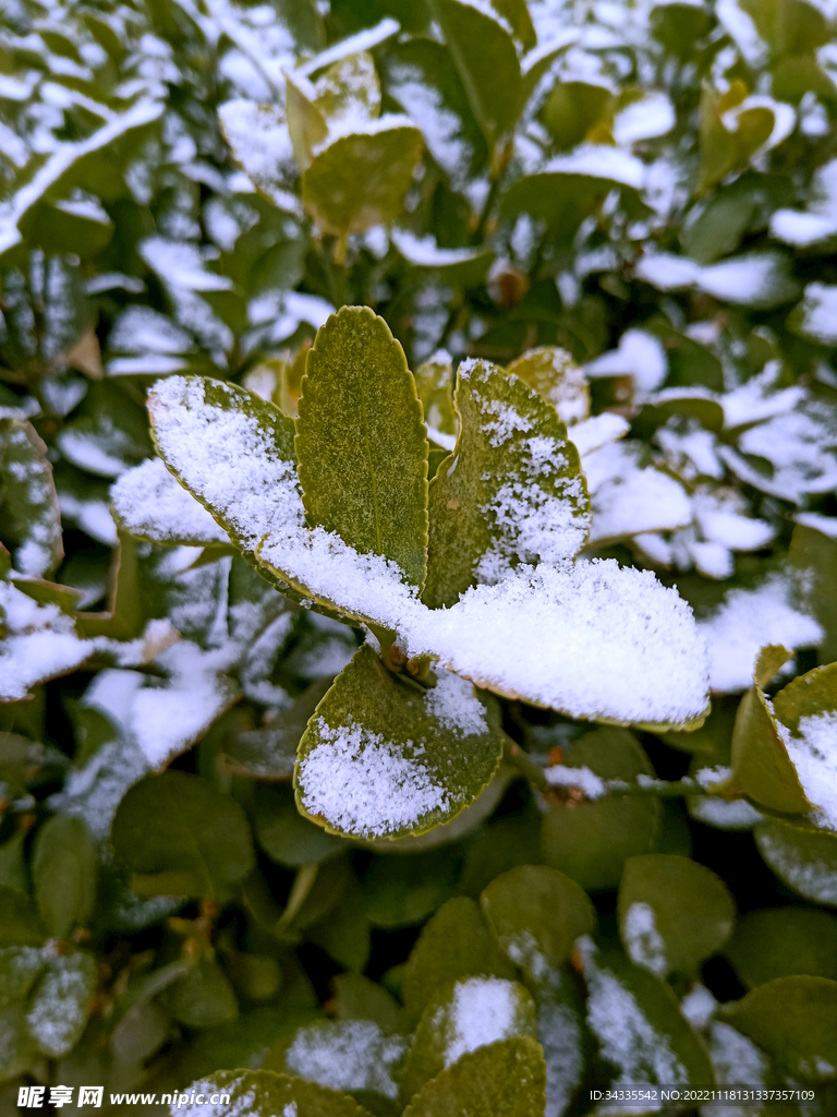 下雪了