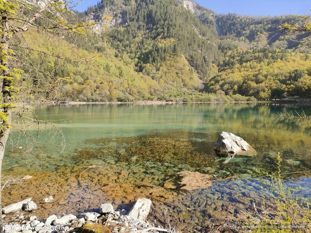 风景