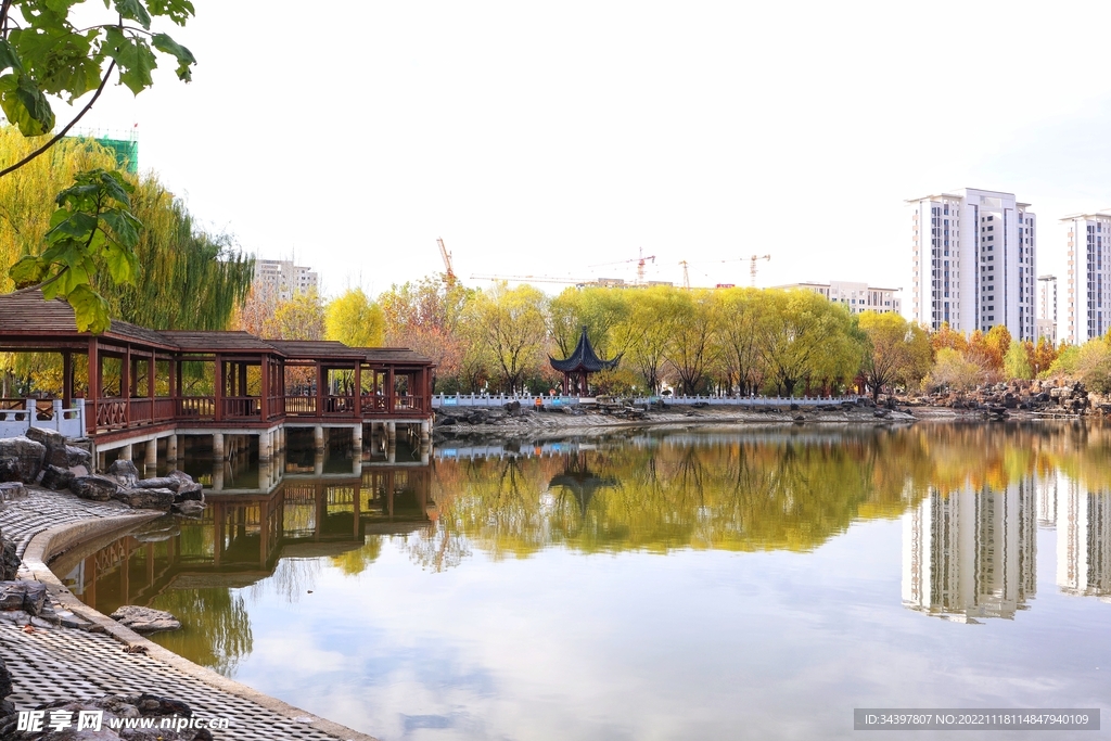 公园美景