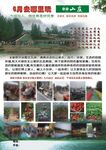 山庄海报