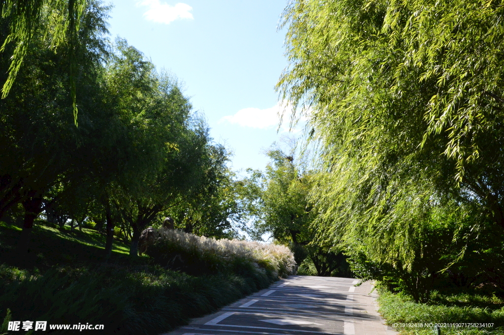 公园风景 