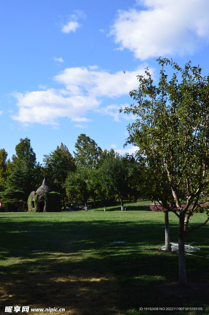 公园风景