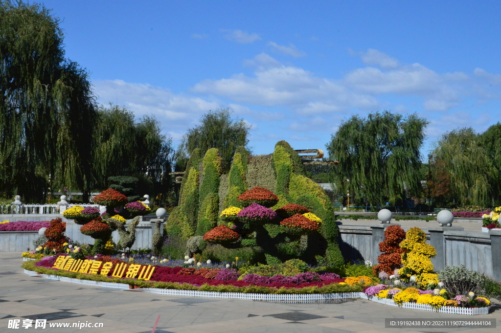 公园风景 