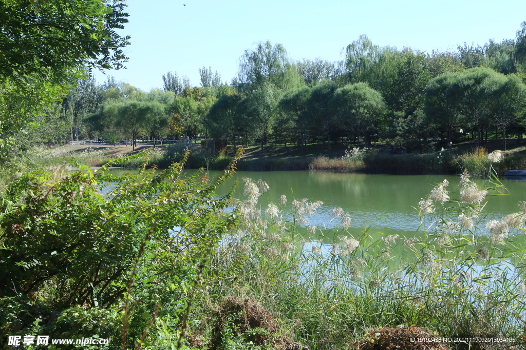 湖水风景