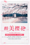 赏樱花海报