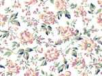 手绘花朵
