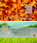 二十四节气 立秋 小满