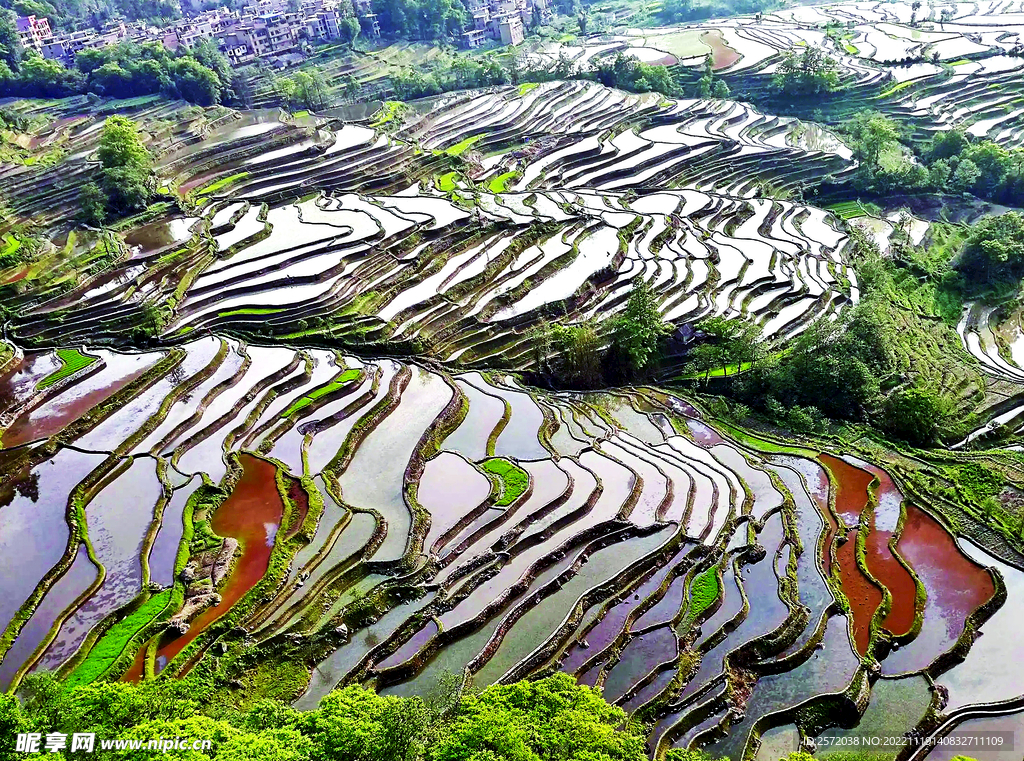 元阳哈尼梯田风光