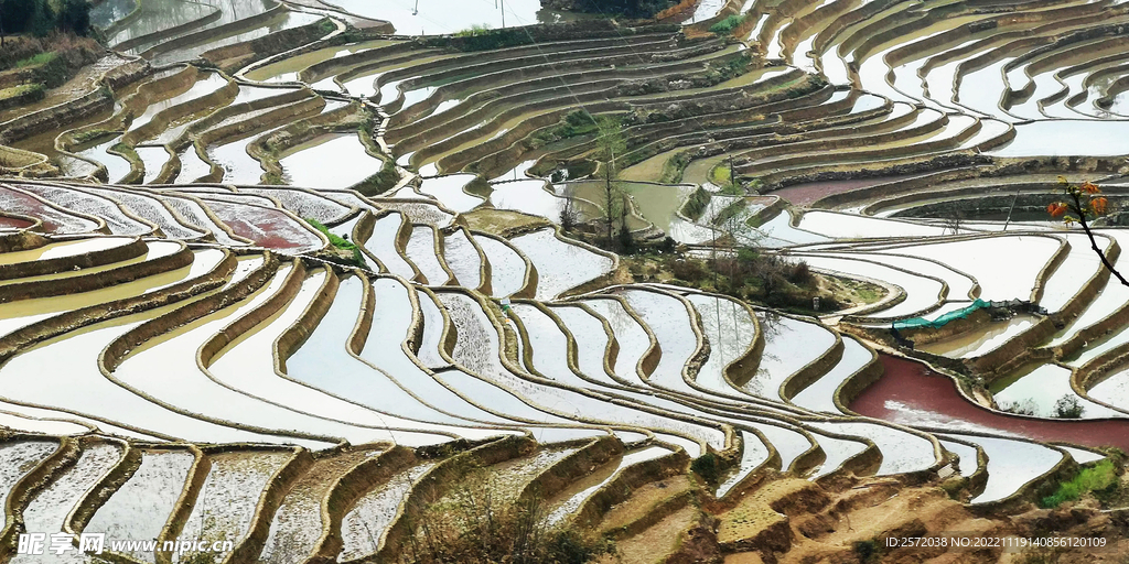 元阳哈尼梯田风光