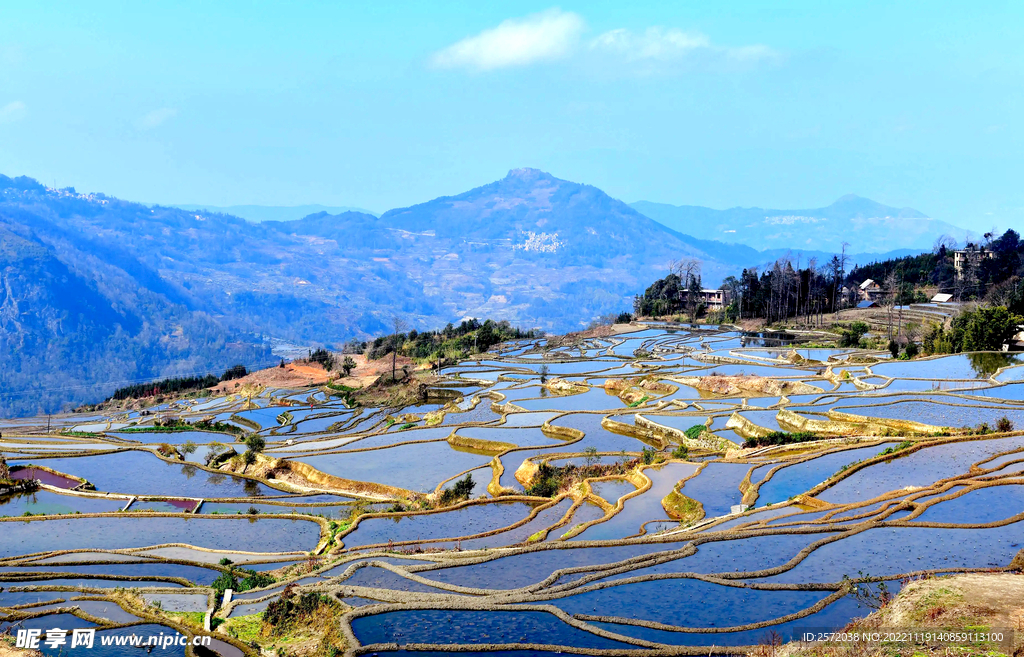 元阳哈尼梯田风光